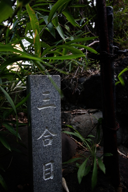 A 品川神社03.JPG