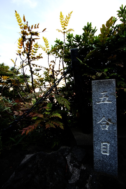 A 品川神社05.JPG