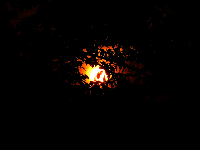 夕陽01.jpg