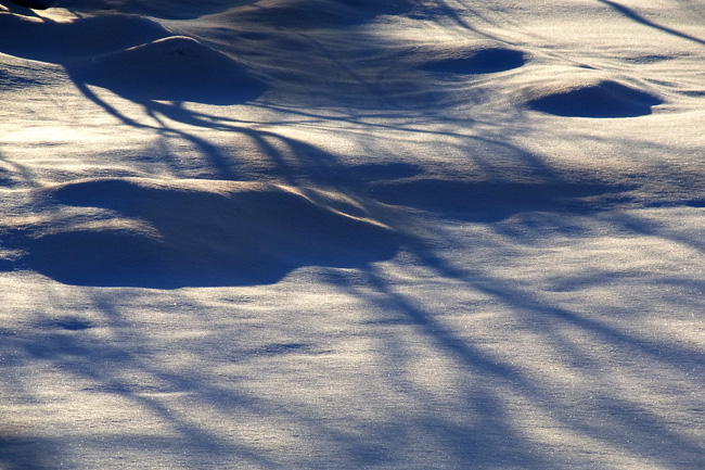 雪景03.jpg